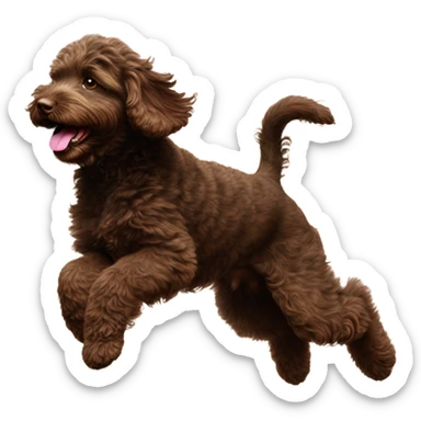 Dark brown Australian labradoodle puppy catching ball sticker
