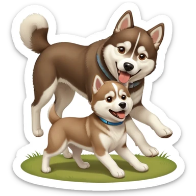 A Siberian husky playing with a brown lab  sticker