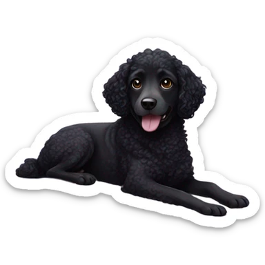 Black curly dog with purple blanket sticker