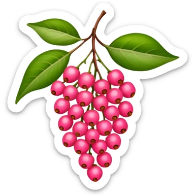 bright pink pepper corn scent sticker