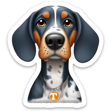 bluetick coonhound wearing university Tennessee orange sticker