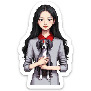 Slim Chinese girl with long black hair holding completely solid grey Italian greyhound with absolutely no white markings anywhere sticker