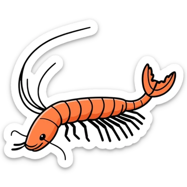 Silly shrimp sticker
