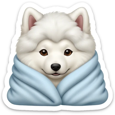 Samoyed cozy in blanket sticker