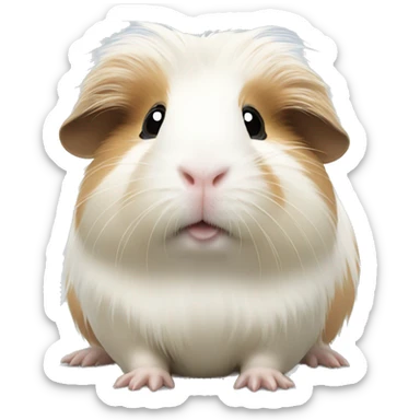 Long-hair white guinea pig sticker