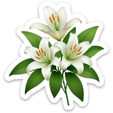 White lilies  sticker