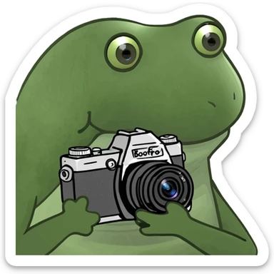 Place the bufo frog holding a camera on a sunny tropical beach, maintaining the green bufo frog meme style with concise details and vibrant colors typical of the bufo style. sticker