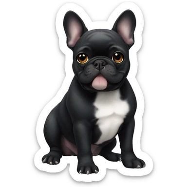 Black French bulldog with white chin sticker
