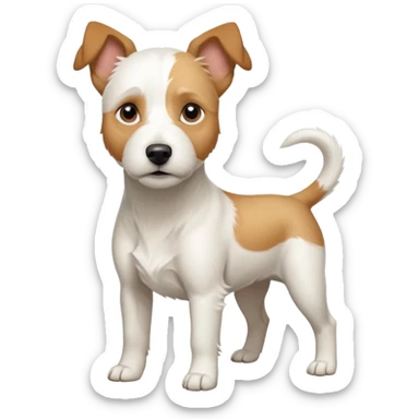 a full body facing front on of a buff white parson russell terrier looking dog the size of a kelpie with light brown long ears resting on its face and a light brown patch above one eye and a large snout. the rest of the dog is completely white.  sticker