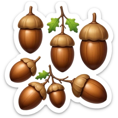 oak acorns sticker