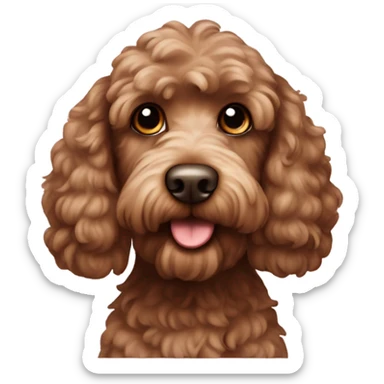 Brown cockapoo sticker