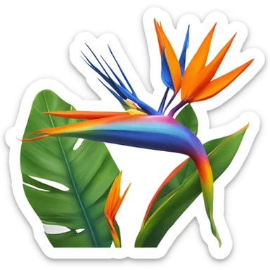 Bird of paradise plant sticker