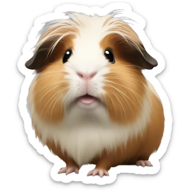 Long hair Guinea pig  sticker