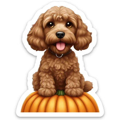 Brown cockapoo sitting on a pumkin sticker