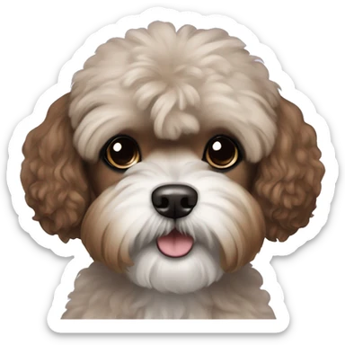 Brown poodle shih tzu mix with black ears  sticker