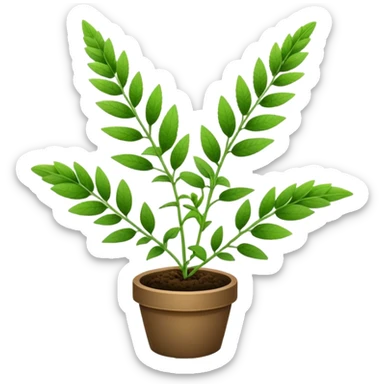 Salvia sticker