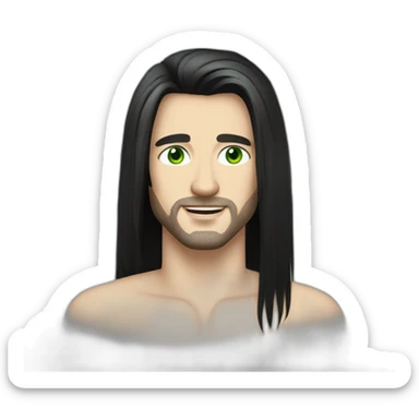 handsome man with long black haircut, white skin and green eyes sticker