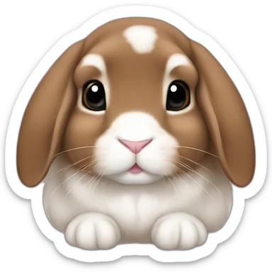 holland lop brown rabbit with floppy ears sticker