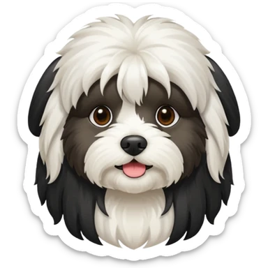 Black and white Havanese dog sticker