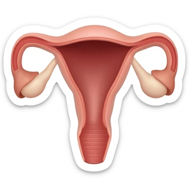 realistic uterus sticker