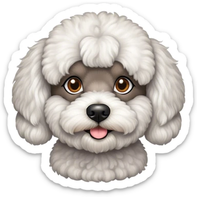 Black male Maltese Poodle  sticker