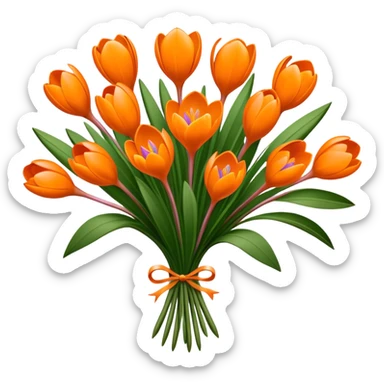 luxuriant, big bouquet Crocus Orange, stem, leaf sticker