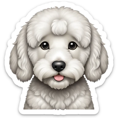 black goldendoodle with white chest, a little bit of white on the nose and white paws sticker