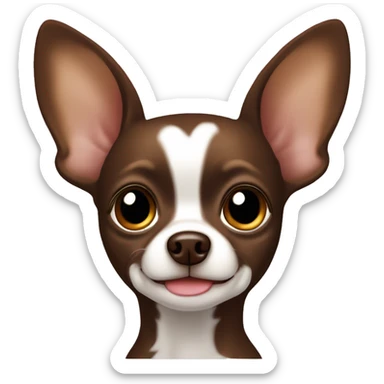 chocolate brown chihuahua with a white spot on the chest and big brown eyes with a halo sticker