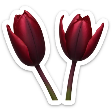 Dark red tulip sticker
