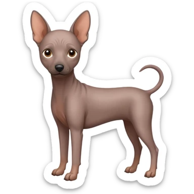 Mexican Hairless Dog sticker