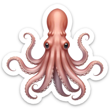 whole raw squid, tapered body, pale pinkish-grey, semi-translucent, visible fins, tentacles curled under, suction cups visible, fresh and glossy, anatomically correct, soft lighting, subtle shadows, no plate or tools, no faces, transparent background, emoji scale sticker