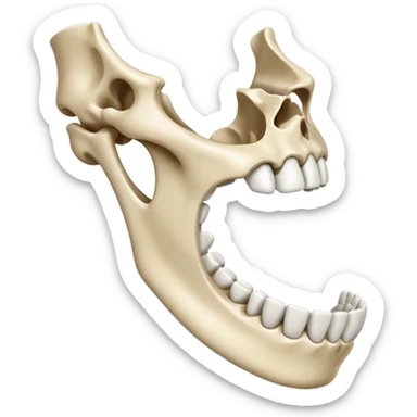 jaw bone sticker