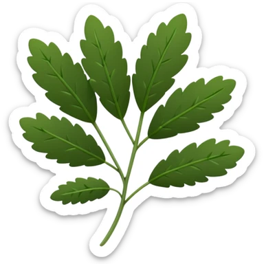 fresh thyme sprig, thin green stems, clusters of tiny oval deep green leaves, delicate, slightly woody base, dense evenly spaced leaves, soft lighting, emoji scale sticker