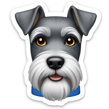 Schnauzer with blue collar sticker