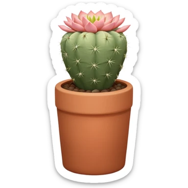 A ceramic pot in a pastel terracotta color, shaped like a cylinder, the pot is tall and contains an Acanthocalycium Glaucum cactus plant. sticker