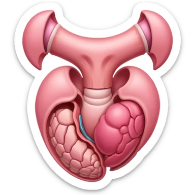 uterus sticker