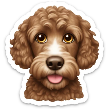 Brown cockapoo  sticker