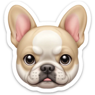 jealous white french bulldog with gray ears sticker