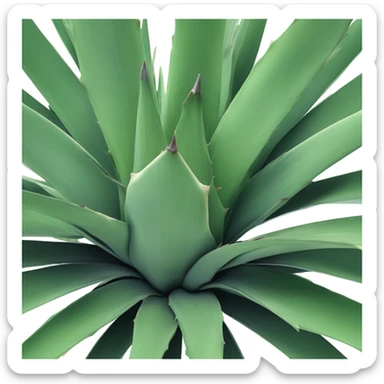 Agave  sticker