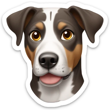 Catahoula with two brown ears a half white face and one brown side of the face  sticker