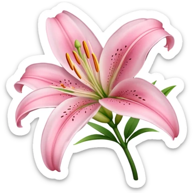 light pink lilium sticker