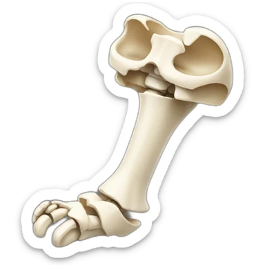 broken femur bone sticker