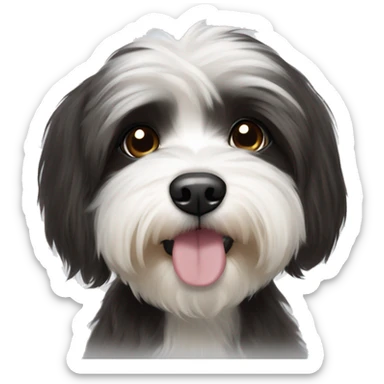 Black and white Havanese with dark brown eyes sticker