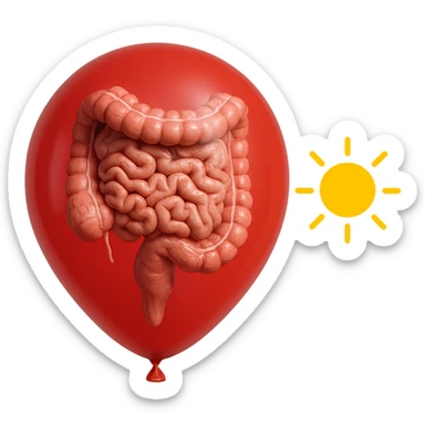 intestino umano anatomico chiuso in un palloncino rosso che simboleggia gonfiore, accanto un simbolo di sole che simboleggia "gonfiori di mattina", iperrealistico 4k sticker