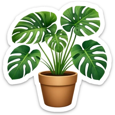 Potted plant, the potted plant contains Monstera deliciosa. sticker