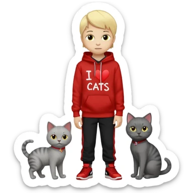 There is one 8 year old boy wearing a red and black hoodie say I heart cats he’s blond he has red Jordan’s and Hess wearing black pants he’s next to his only gray cat with yellow eyes  sticker