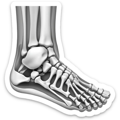x-ray of foot bones, medical scan of foot skeleton sticker