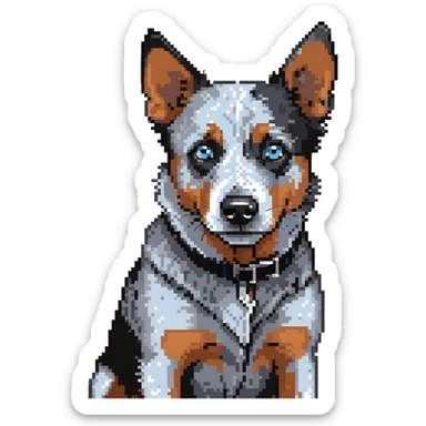 head shot of blue heeler cattle dog with distinctive blue-gray speckled coat sticker