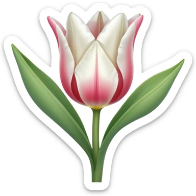 white tulipe sticker