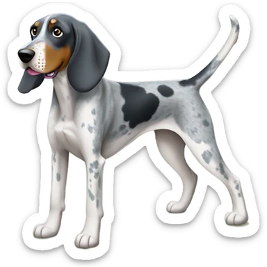 Blue tick coonhound playing in yard sticker